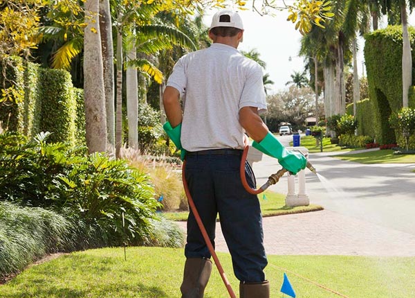 About Hooppole IL Pest Control